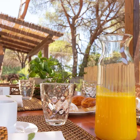 Estay - Grazia - Relax E Comfort A Pochi Passi Dal Mare *